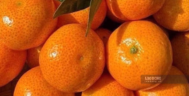 Những loại trái cây có thể hỗ trợ kiểm soát axit uric và sức khỏe gan