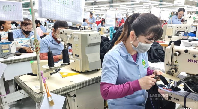 Doanh nghiệp Cà Mau khó tuyển lao động dù trả lương cao