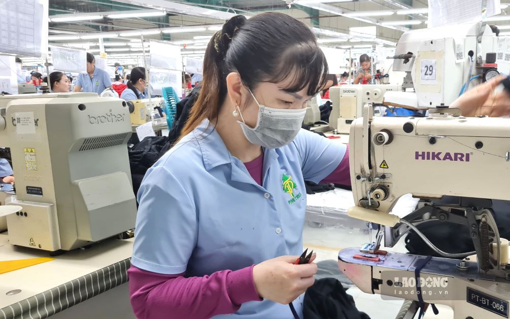 Công nhân Cty TNHH MTV Pinetree, xã Vĩnh Lợi, Cà Mau hầu hết có nhà gần, thu nhập ổn định (ảnh chụp tháng 10.2026). Ảnh: Nhật Hồ.