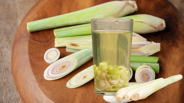 Nước sả có thể dùng để bổ sung nước hằng ngày. Ảnh: Hương Sơn