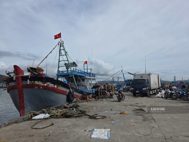 Đắk Lắk đặt 5 mục tiêu không để xảy ra vi phạm IUU